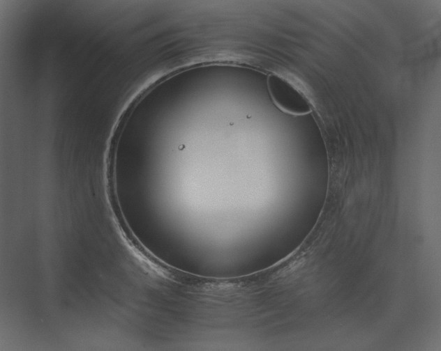 X0000073901135200608251450