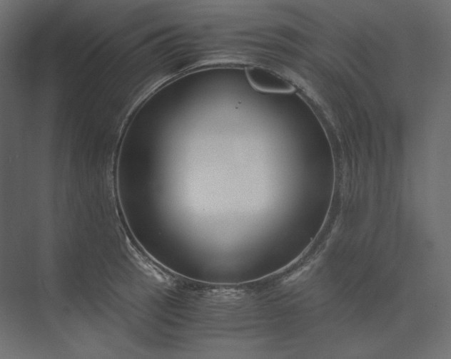 X0000073901137200608251450