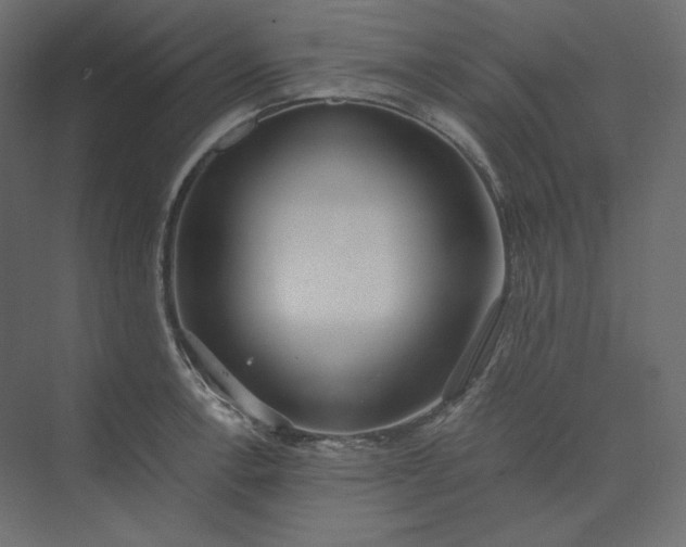 X0000073901138200608251450