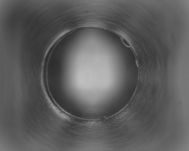 X0000073901139200608251450