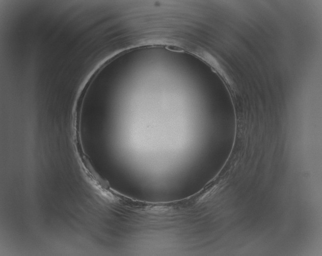 X0000073901140200608251450