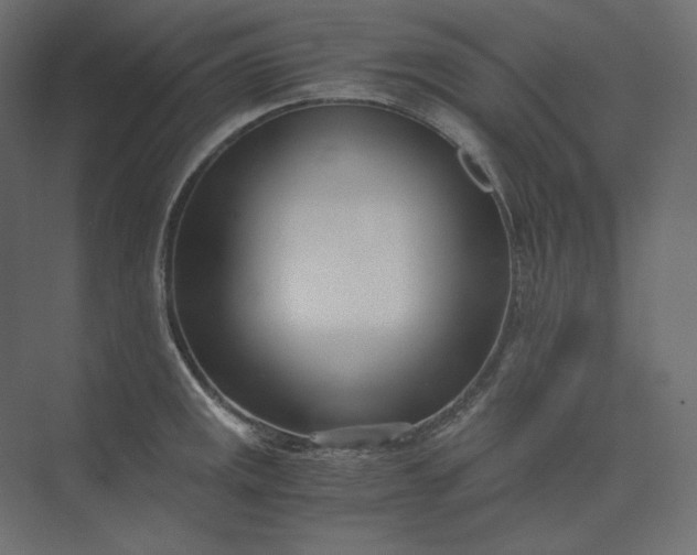 X0000073901141200608251450