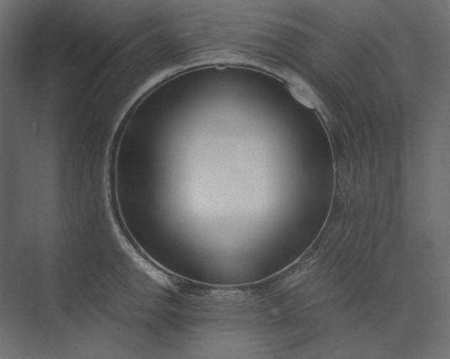 X0000073901142200608251450