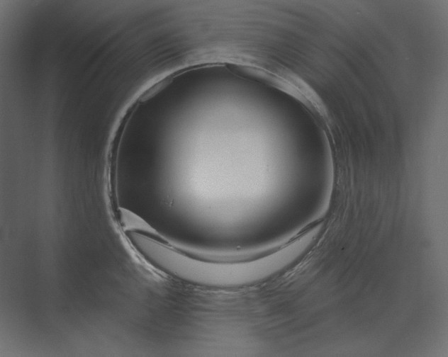 X0000073901144200608251450