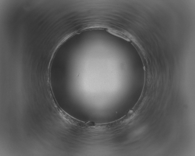 X0000073901145200608251450