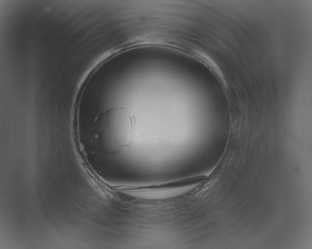 X0000073901146200608251450