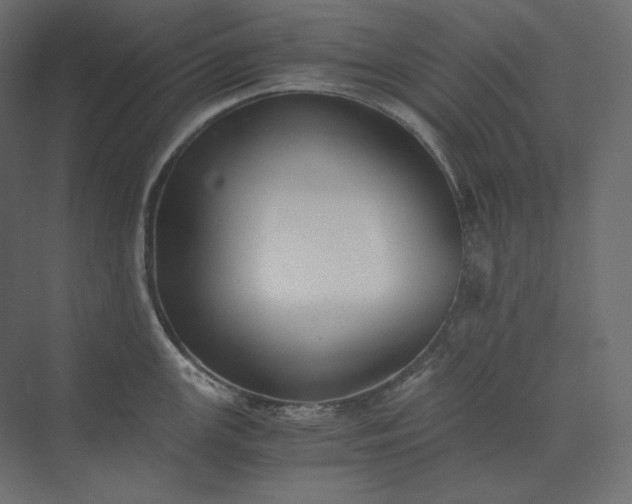 X0000073901147200608251450