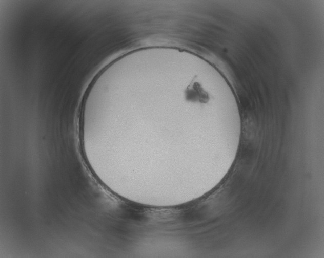 X0000073901150200608251451