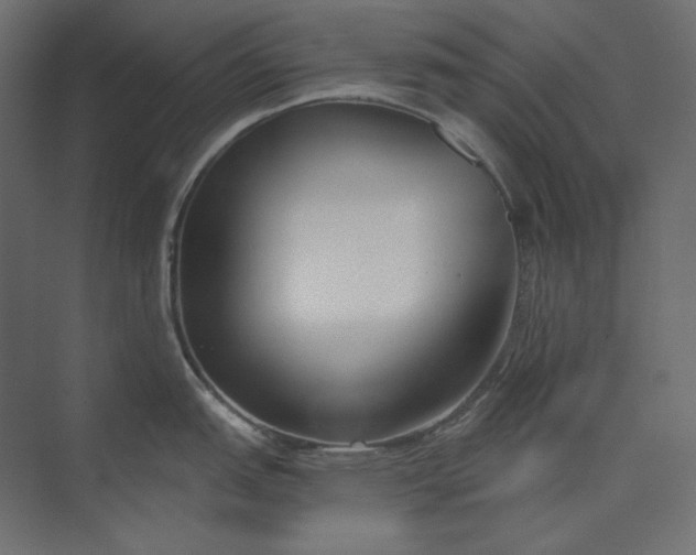 X0000073901151200608251451