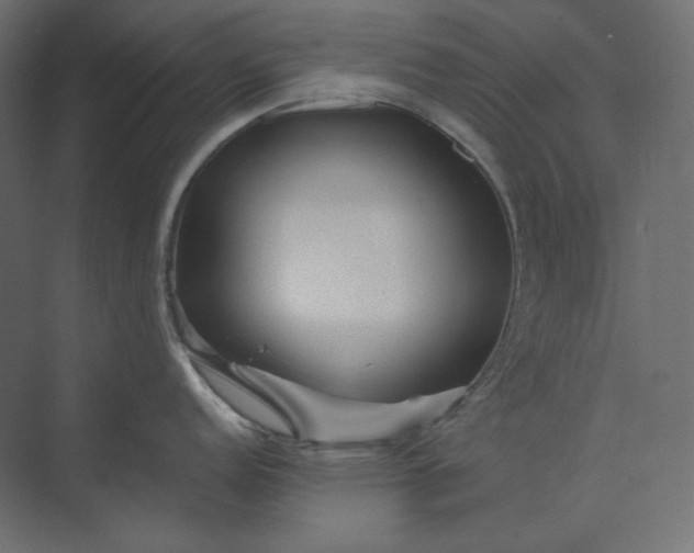 X0000073901152200608251451