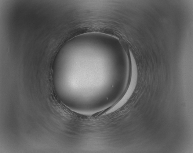 X0000073901153200608251450