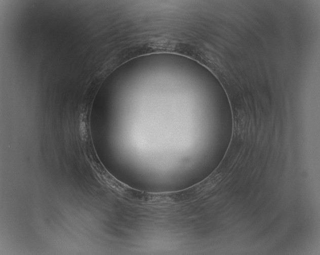 X0000073901154200608251450