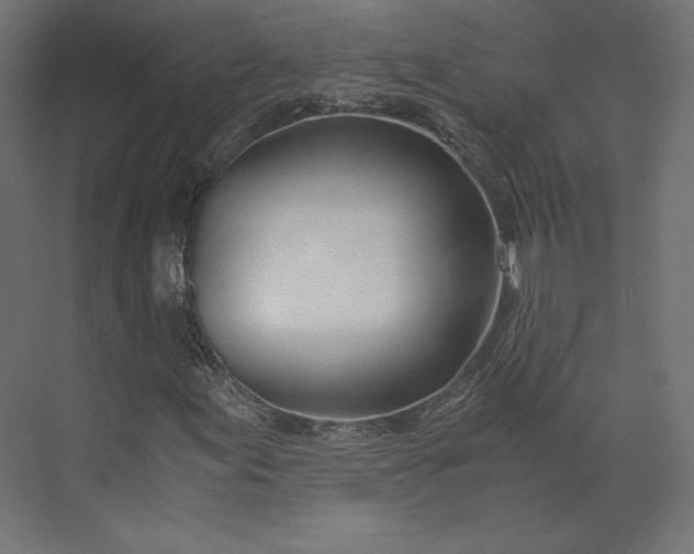 X0000073901155200608251450