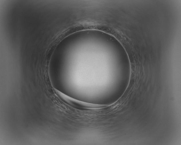 X0000073901157200608251450