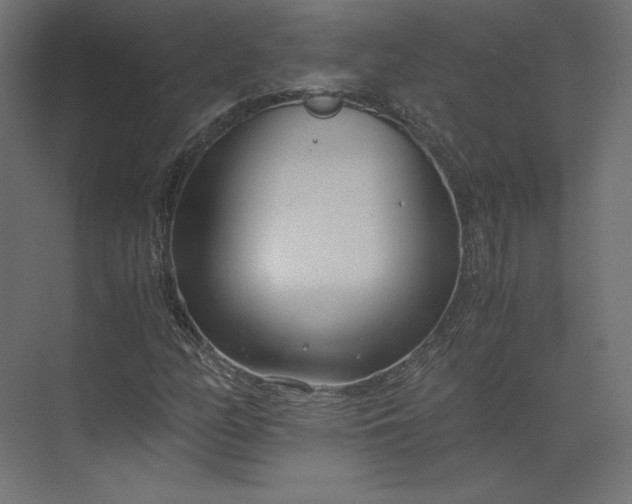 X0000073901158200608251450