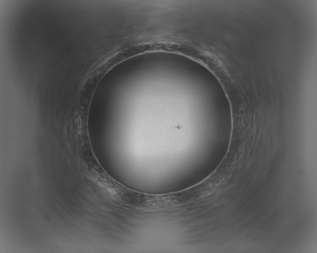 X0000073901159200608251450