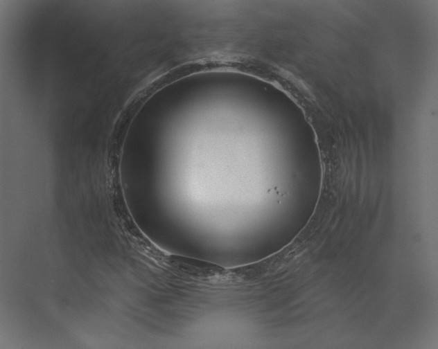 X0000073901160200608251450