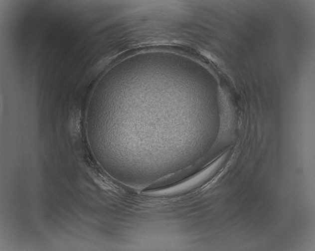 X0000073901161200608251450