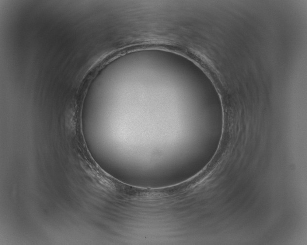 X0000073901163200608251450