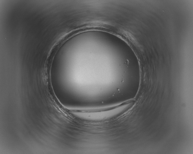 X0000073901164200608251450