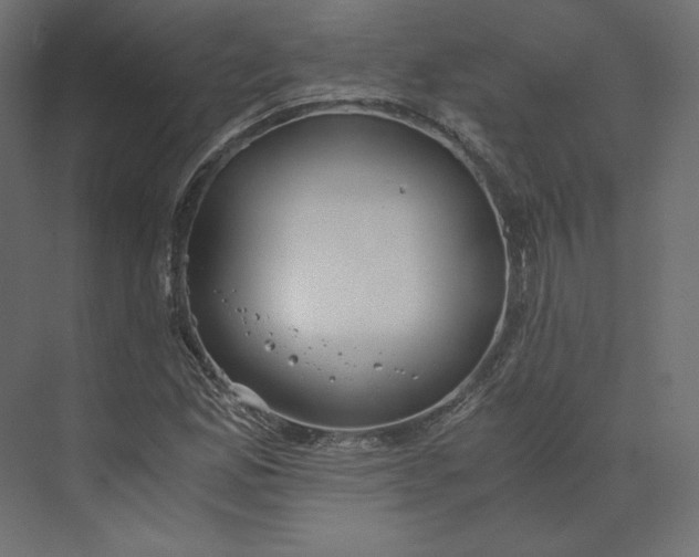 X0000073901165200608251450