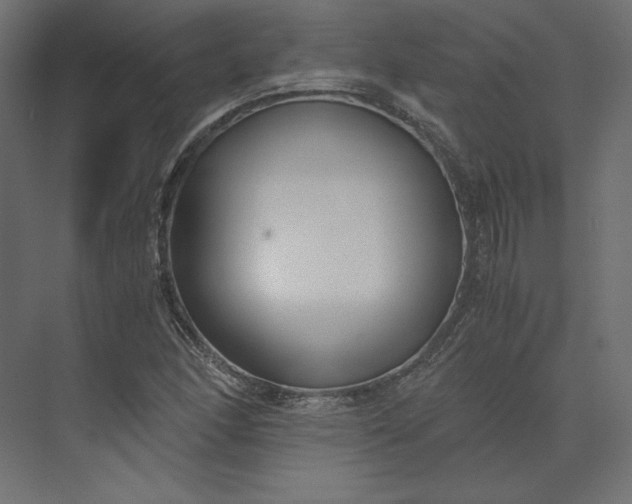 X0000073901166200608251450