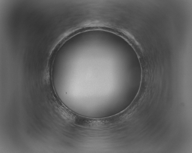 X0000073901167200608251450