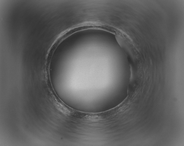 X0000073901168200608251450