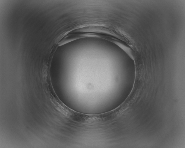 X0000073901169200608251449