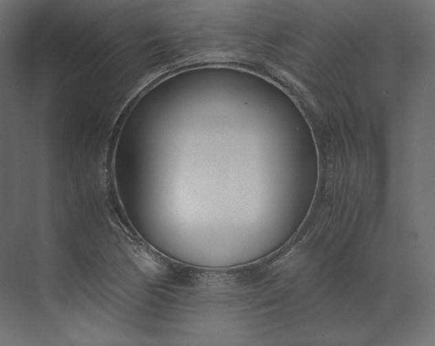 X0000073901170200608251449