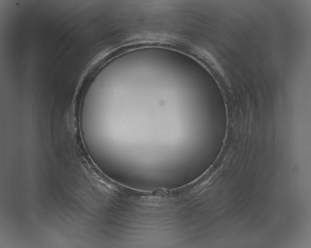 X0000073901172200608251449