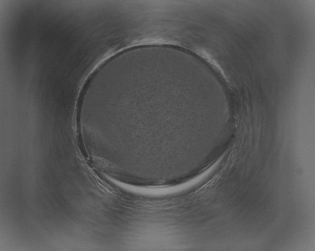 X0000073901173200608251449