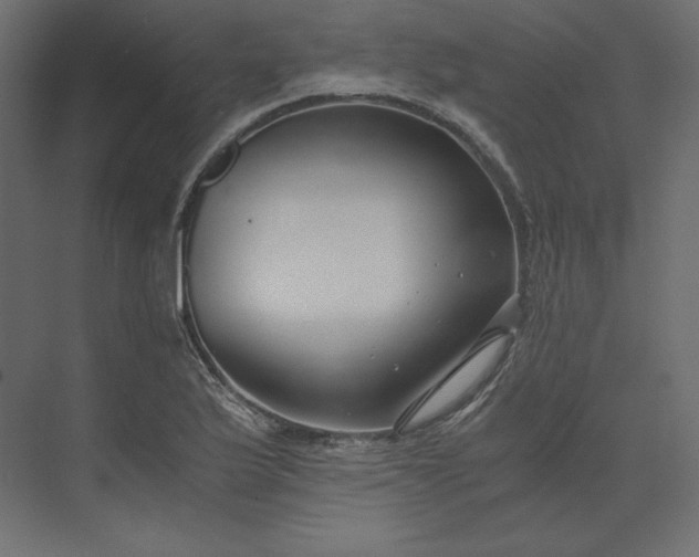 X0000073901175200608251449