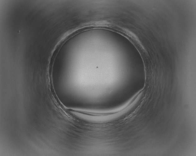 X0000073901176200608251449