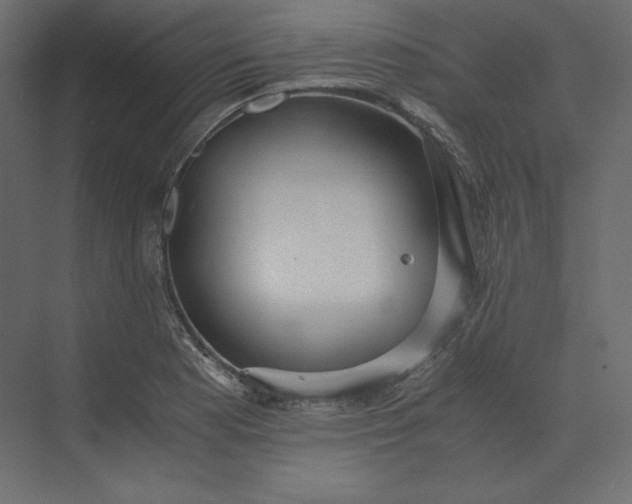 X0000073901177200608251449