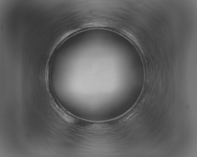 X0000073901179200608251449