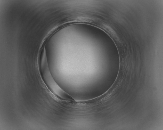 X0000073901180200608251449