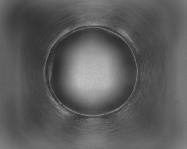 X0000073901181200608251449