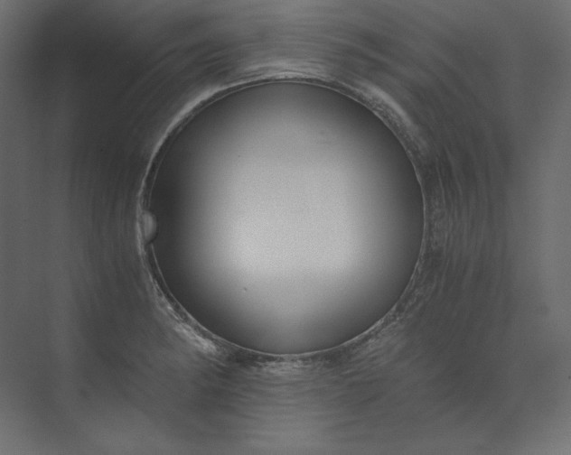 X0000073901182200608251449