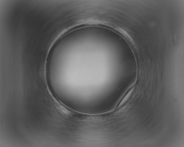 X0000073901183200608251449