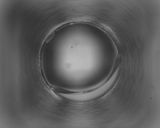 X0000073901184200608251449