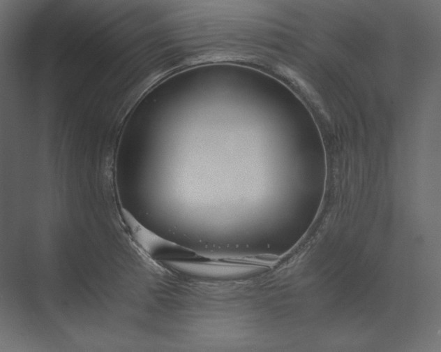 X0000073901185200608251449