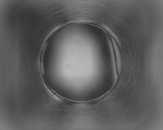 X0000073901189200608251449