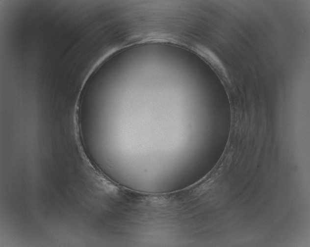 X0000073901190200608251449