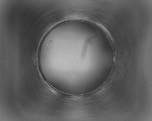 X0000073901191200608251449