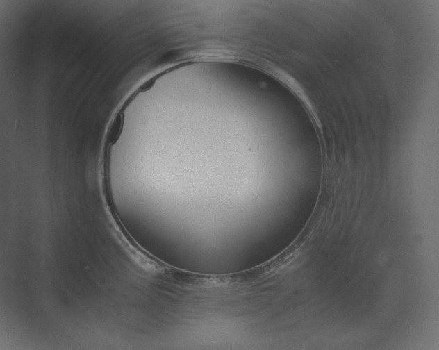 X0000073901195200608251449