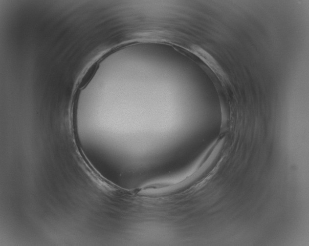 X0000073901196200608251449