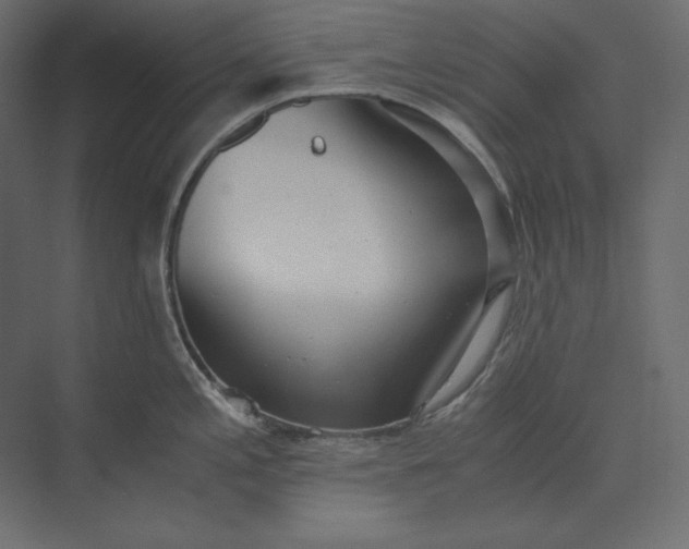 X0000073901197200608251449