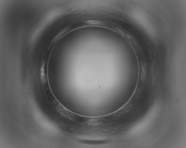 X0000073901198200608251449