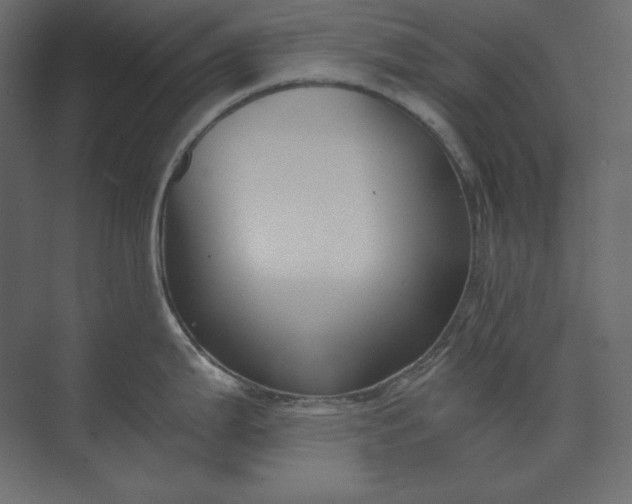 X0000073901199200608251449